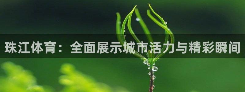鲸鱼体育怎么看直播：珠江体育：全面展示城市活力与精彩瞬间