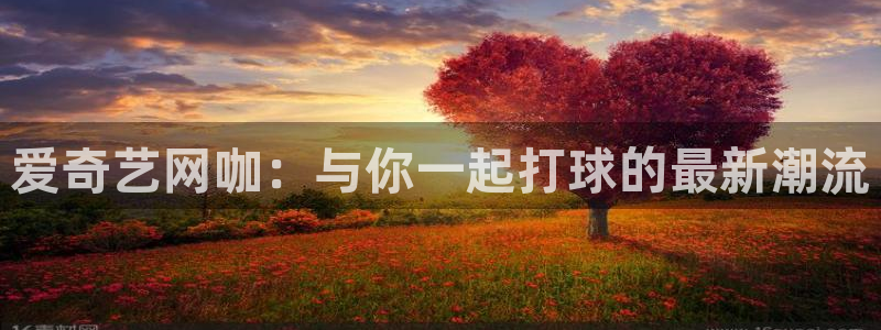 鲸鱼体育高清直播：爱奇艺网咖：与你一起打球的最新潮流