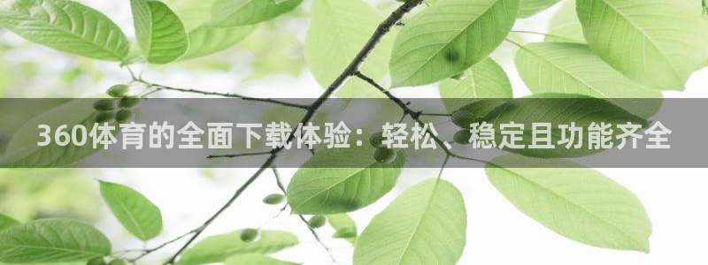 鲸鱼体育tv：360体育的全面下载体验：轻松、稳定且功能齐全