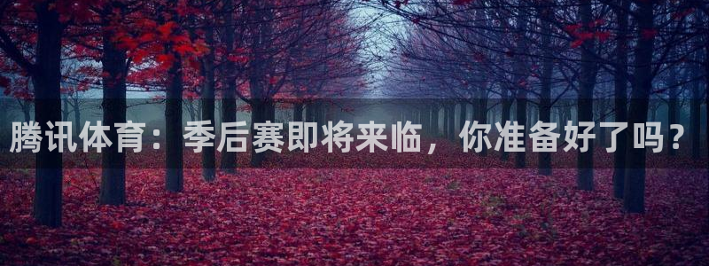 鲸鱼体育网址是什么：腾讯体育：季后赛即将来临，你准备好了吗？
