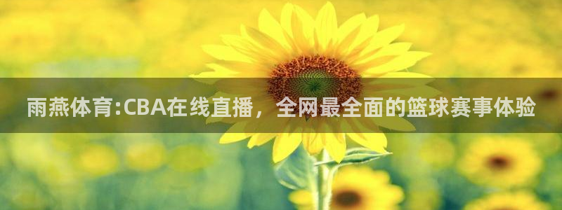 鲸鱼体育tv.点我直达.org：雨燕体育:CBA在线直播，全网最全面的篮球赛事体验