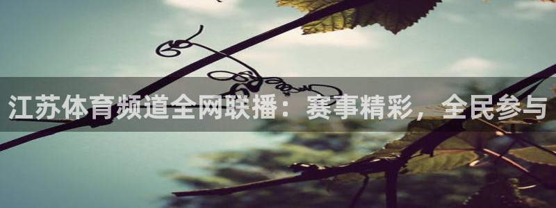 鲸鱼体育直播在线：江苏体育频道全网联播：赛事精彩，全民参与
