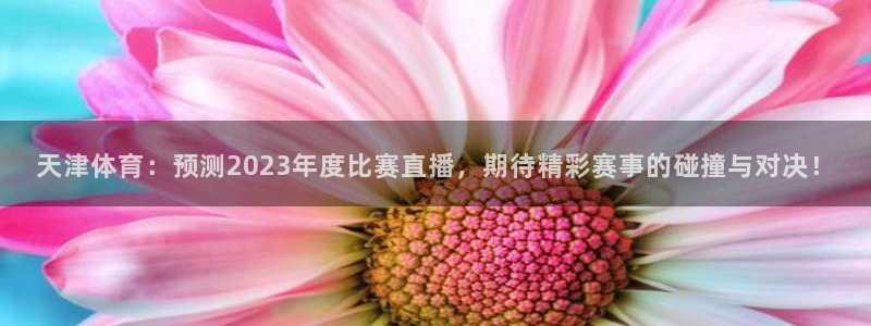 鲸鱼体育直播免费：天津体育：预测2023年度比赛直播，期待精彩赛事的碰撞与对决！