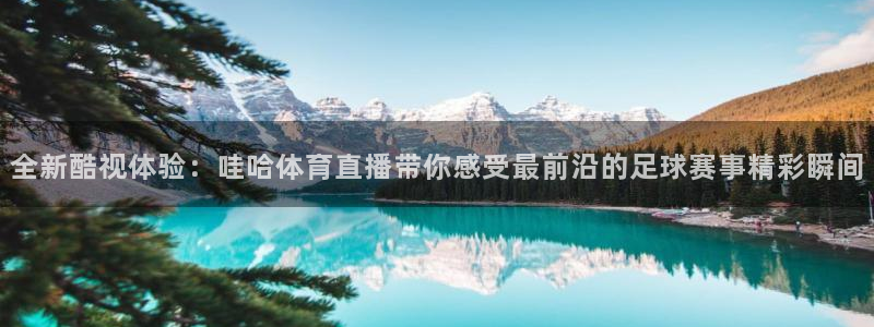 鲸鱼体育app官方入口：全新酷视体验：哇哈体育直播带你感受最前沿的足球赛事精彩瞬间