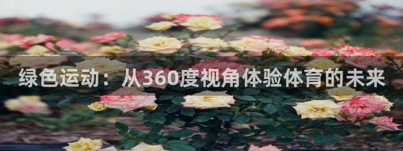 鲸鱼体育nba：绿色运动：从360度视角体验体育的未来