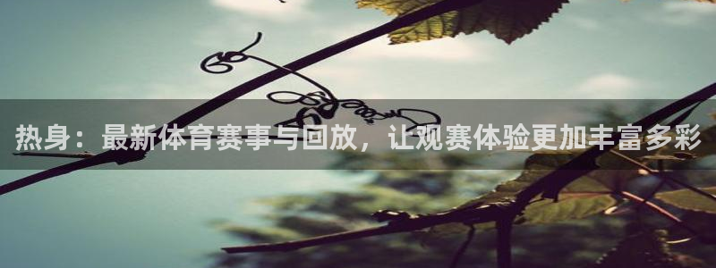 鲸鱼体育app下载安装最新版：热身：最新体育赛事与回放，让观赛体验更加丰富多彩