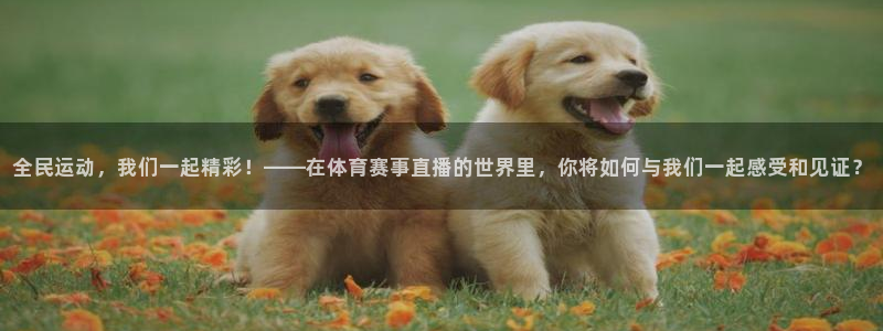 鲸鱼体育在线直播免费：全民运动，我们一起精彩！——在体育赛事直播的世界里，你将如何与我们一起感受和见证？