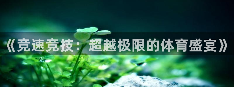 鲸鱼体育在线直播高清：《竞速竞技：超越极限的体育盛宴》