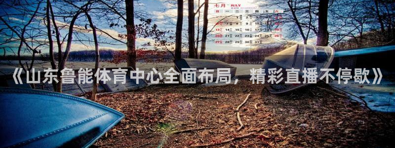 鲸鱼体育app官网版：《山东鲁能体育中心全面布局，精彩直播不停歇》