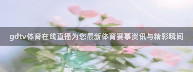 鲸鱼体育赛事直播