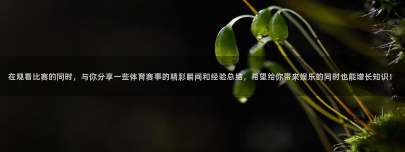 鲸鱼体育直播：在观看比赛的同时，与你分享一些体育赛事的精彩瞬间和经验总结，希望给你带来娱乐的同时也能增长知识！