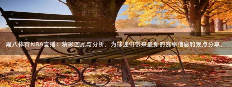 鲸鱼直播官网：黑八体育NBA直播：精彩回顾与分析，为球迷们带来最新的赛事信息和观点分享。